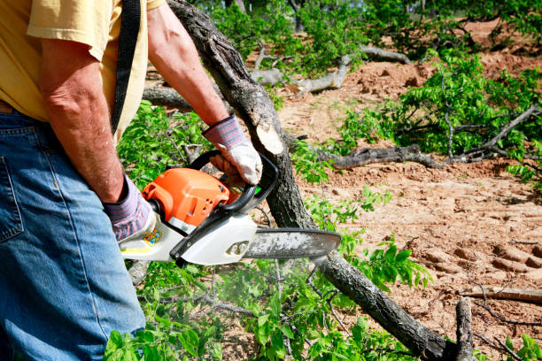 Lawn Maintenance Plans in White Marsh, MD